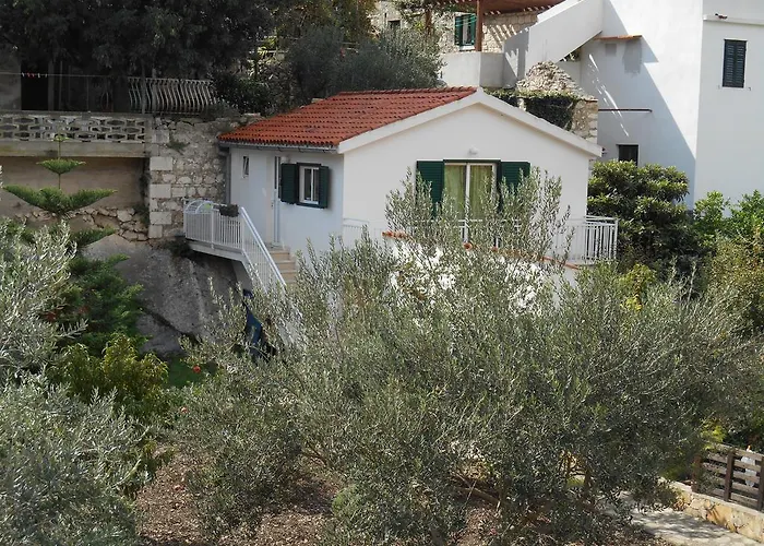 Bed and breakfast Oaza